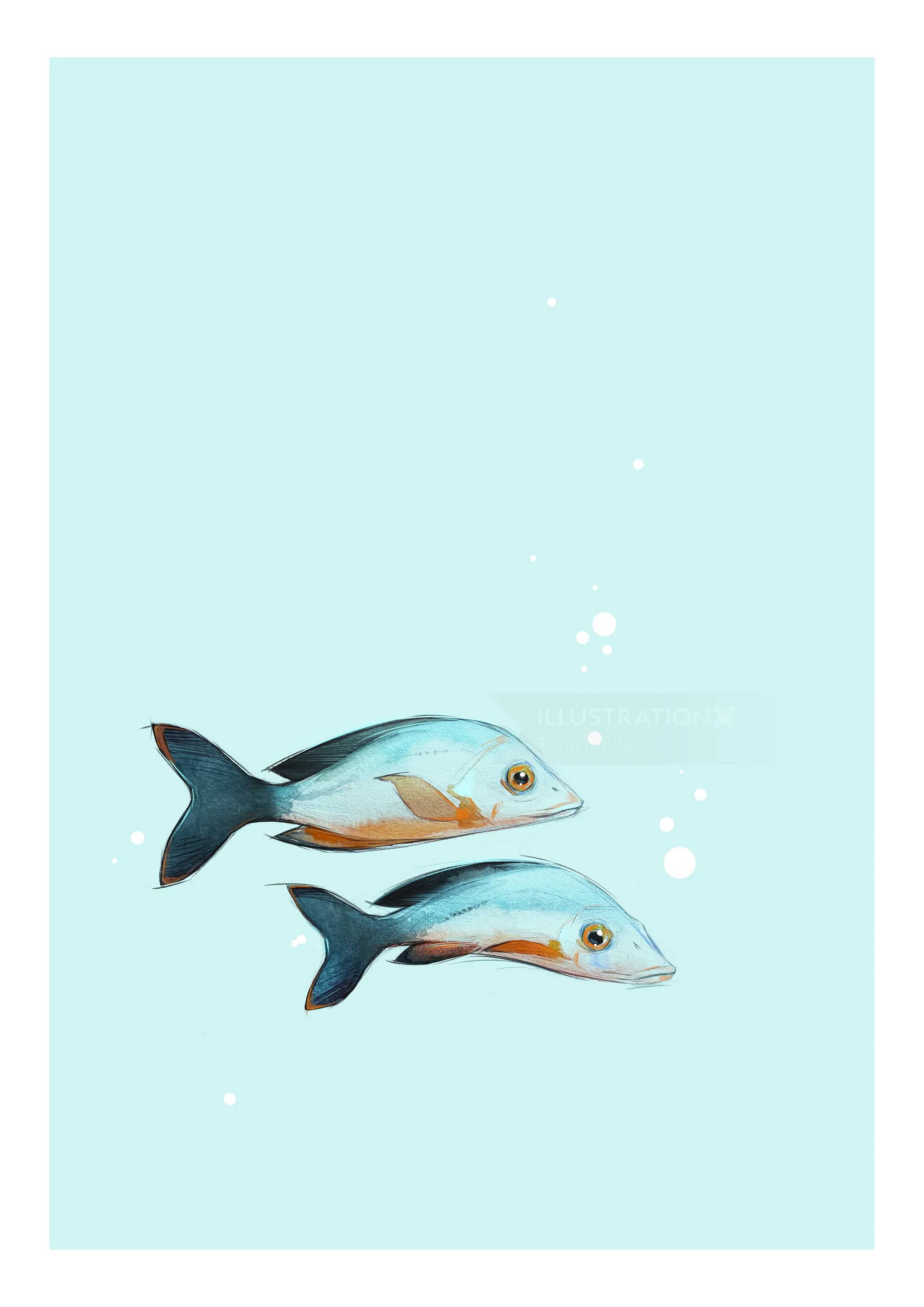 Two stylized fish swimming on a light blue background with bubbles