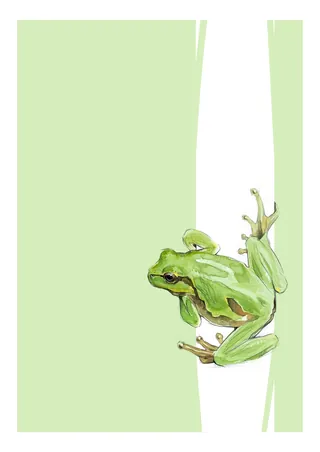 Green frog climbing on a light green vertical surface