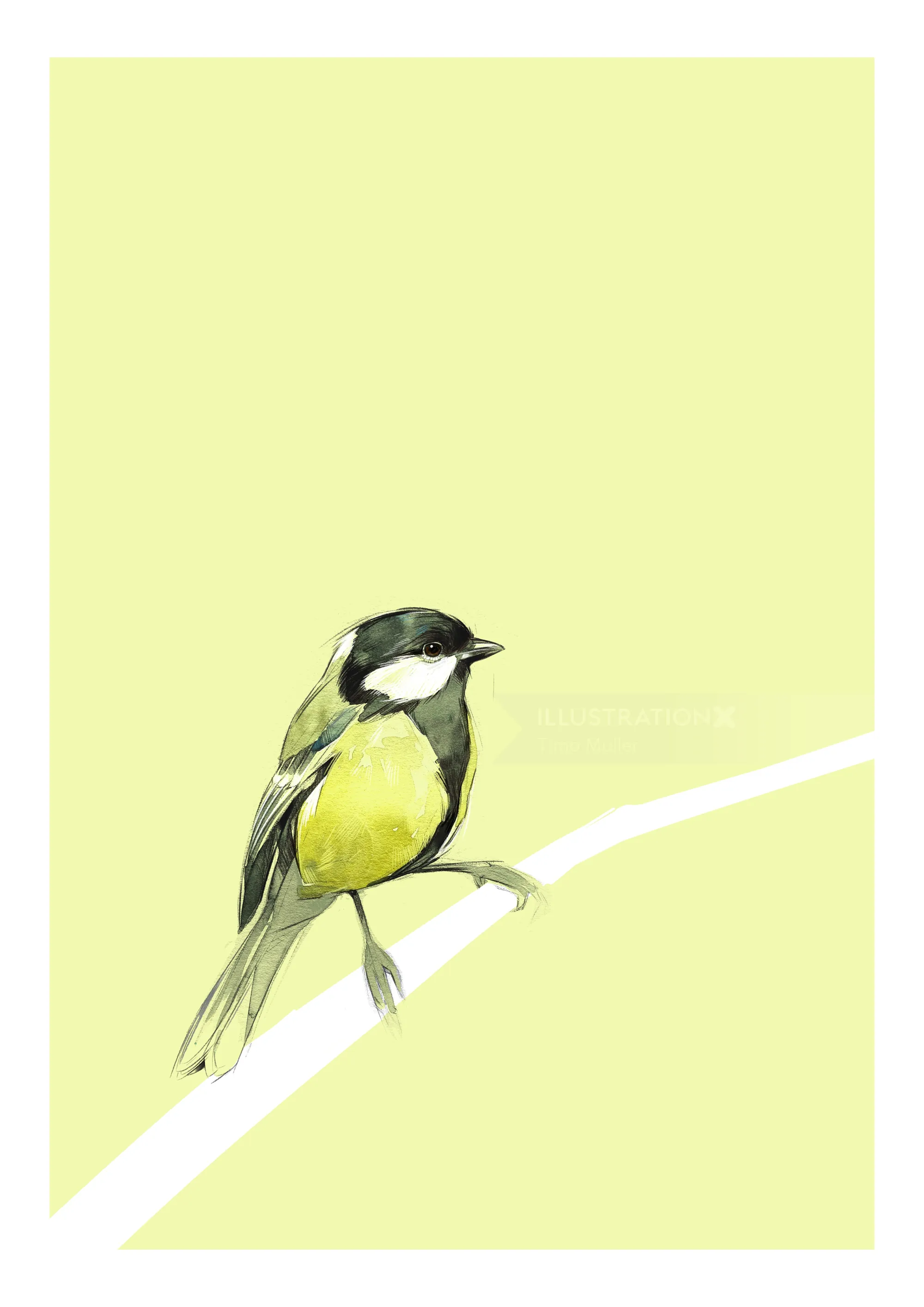 Yellow and black bird perched on a pale green branch illustration