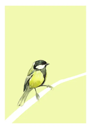 Yellow and black bird perched on a pale green branch illustration