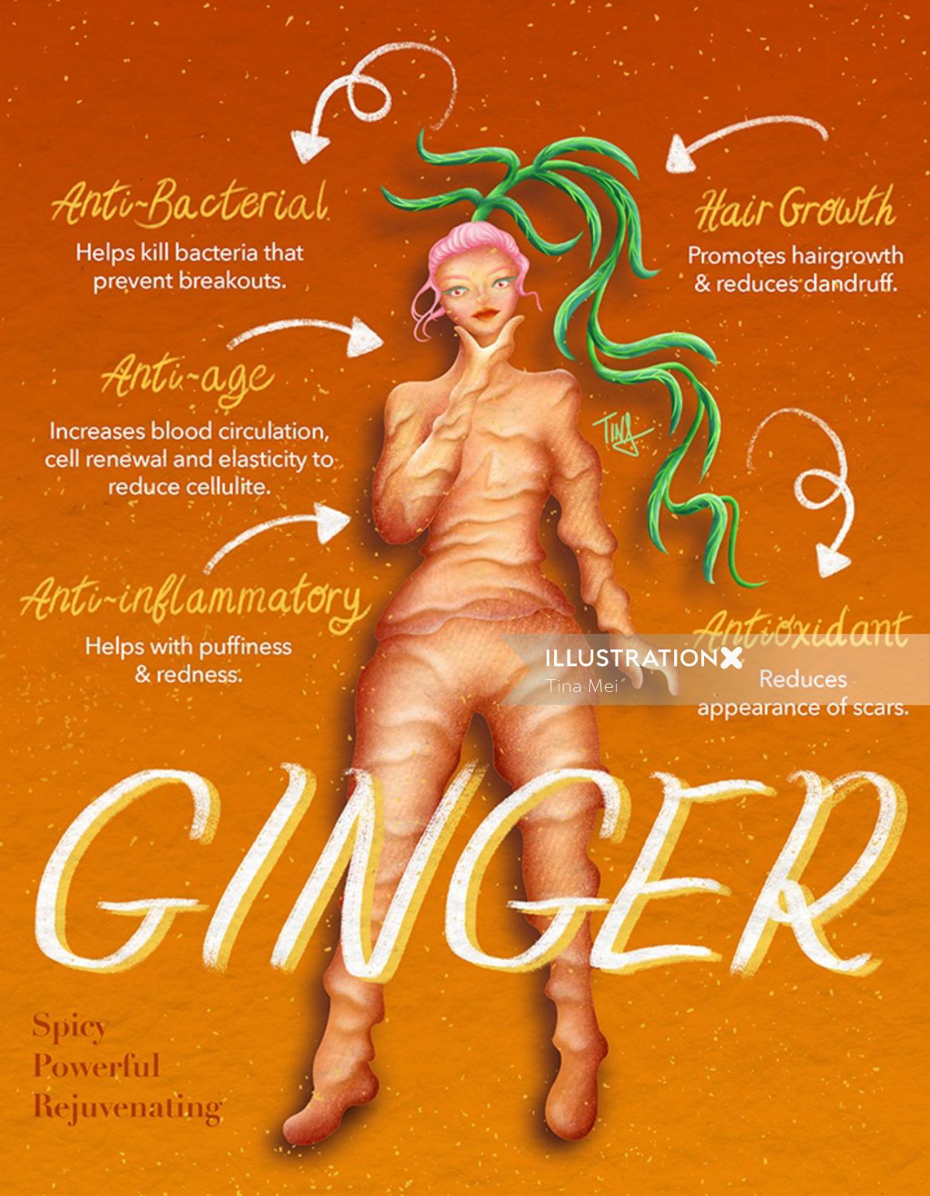 Health benefits of Ginger herbs poster art