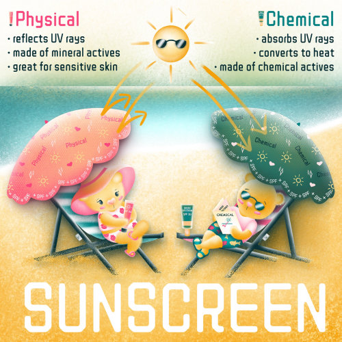sunscreen infographic, sunscreen, bear on beach, childrens illustration, beauty illustration, illust