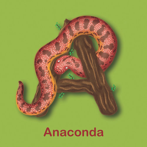 A for Anaconda，Anaconda插图，abc儿童读物，儿童书abc，abc书，蒂娜·梅尔