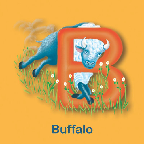B para Buffalo, ilustração de búfalo, búfalo infantil, livro infantil, livro abc, tina mei illustrat