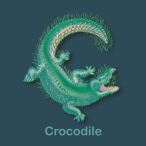 C for Crocodile, crocodile illustration, abc book, childrens book abc, tina mei illustrator