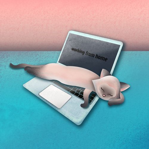 Working From Home, cat illustration, cat on laptop, cat on laptop illustration, laptop cat, cat gif