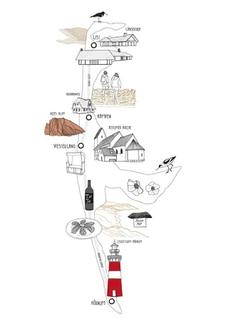 Architecture of different model buildings
