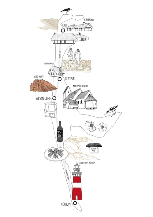 Architecture of different model buildings
