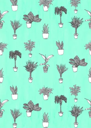 Pattern of hand-drawn potted plants illustration by Tobias Göbel