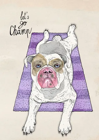 Illustration of a white bulldog lying on a purple mat with text 'let's go champ' by Tobias Göbel