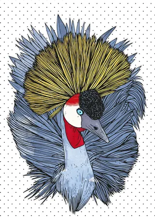 Detailed crowned crane with vibrant feathers by Tobias Göbel