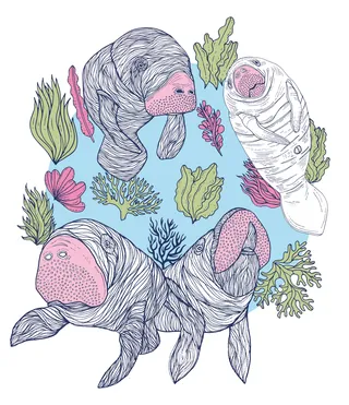 Illustration of pink-faced sea creatures with colorful coral by Tobias Göbel