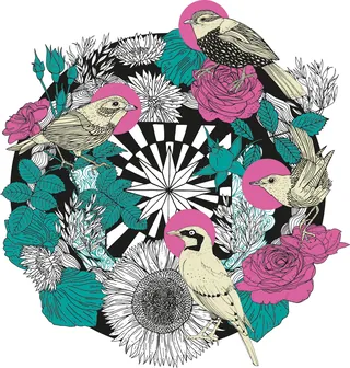 Illustration of four birds with pink head markings among flowers and geometric pattern by Tobias Gö
