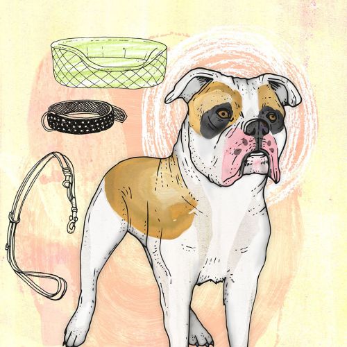 Illustration of a boxer dog with collar, leash, bowl, and toys by Tobias Göbel
