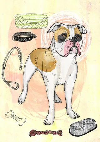 Illustration of a boxer dog with collar, leash, bowl, and toys by Tobias Göbel