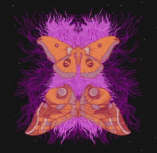 紫色の渦巻き模様のあるオレンジ色の蛾 | Illustration by Tobias Göbel