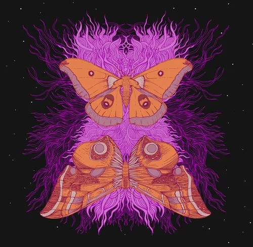 Two orange moths with purple swirls on black background