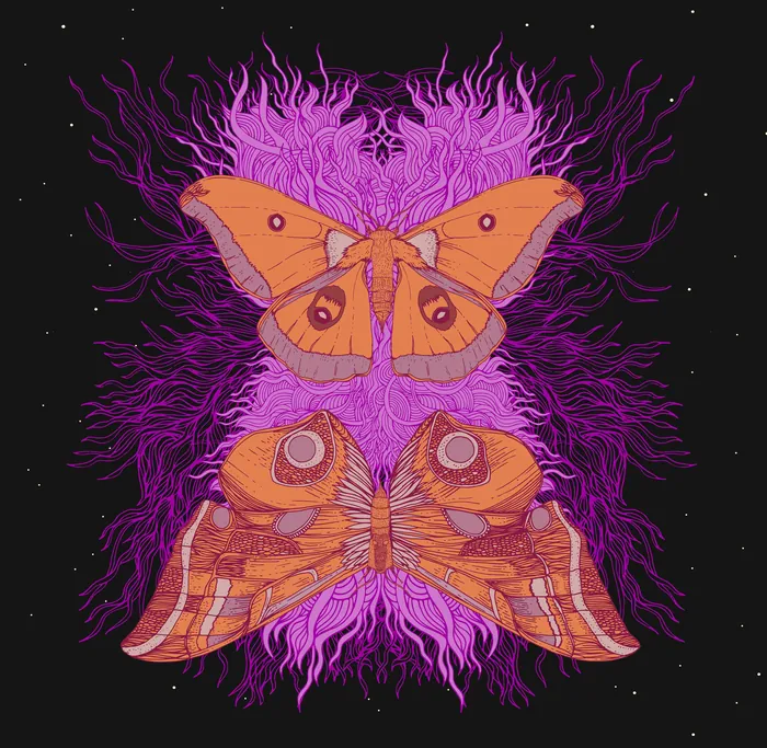 Two orange moths with purple swirls on black background