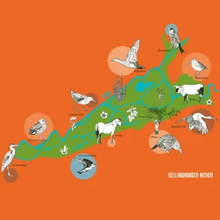 Illustrated map with birds and animals on green area with orange background