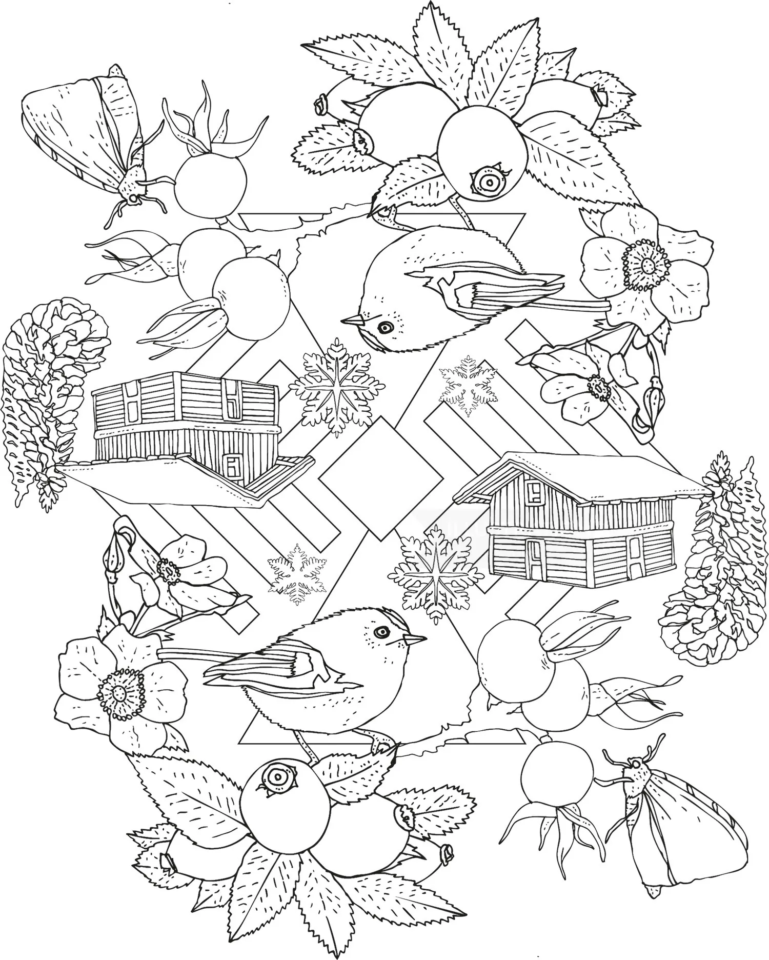 Black and white ink drawing of birds, leaves, berries, and wooden houses by Tobias Göbel