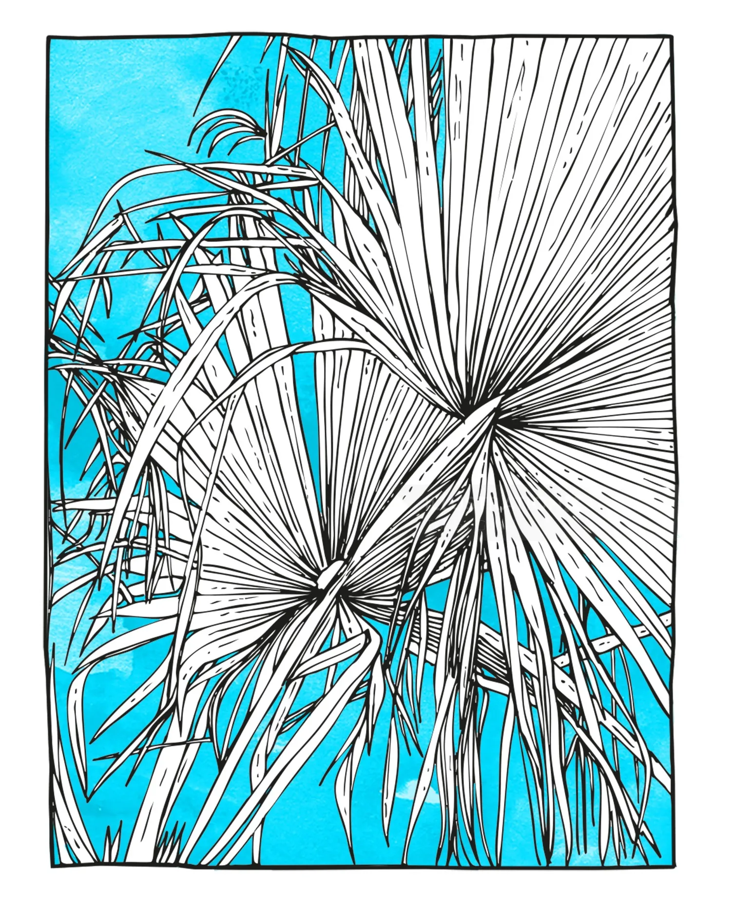 Black and white palm leaves illustration by Tobias Göbel