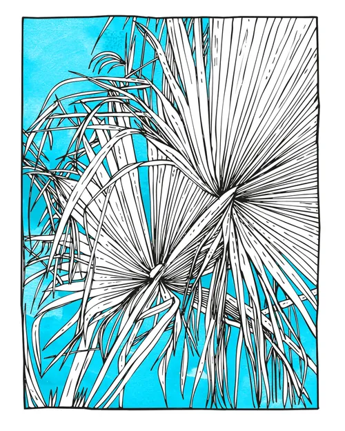 Black and white palm leaves illustration by Tobias Göbel