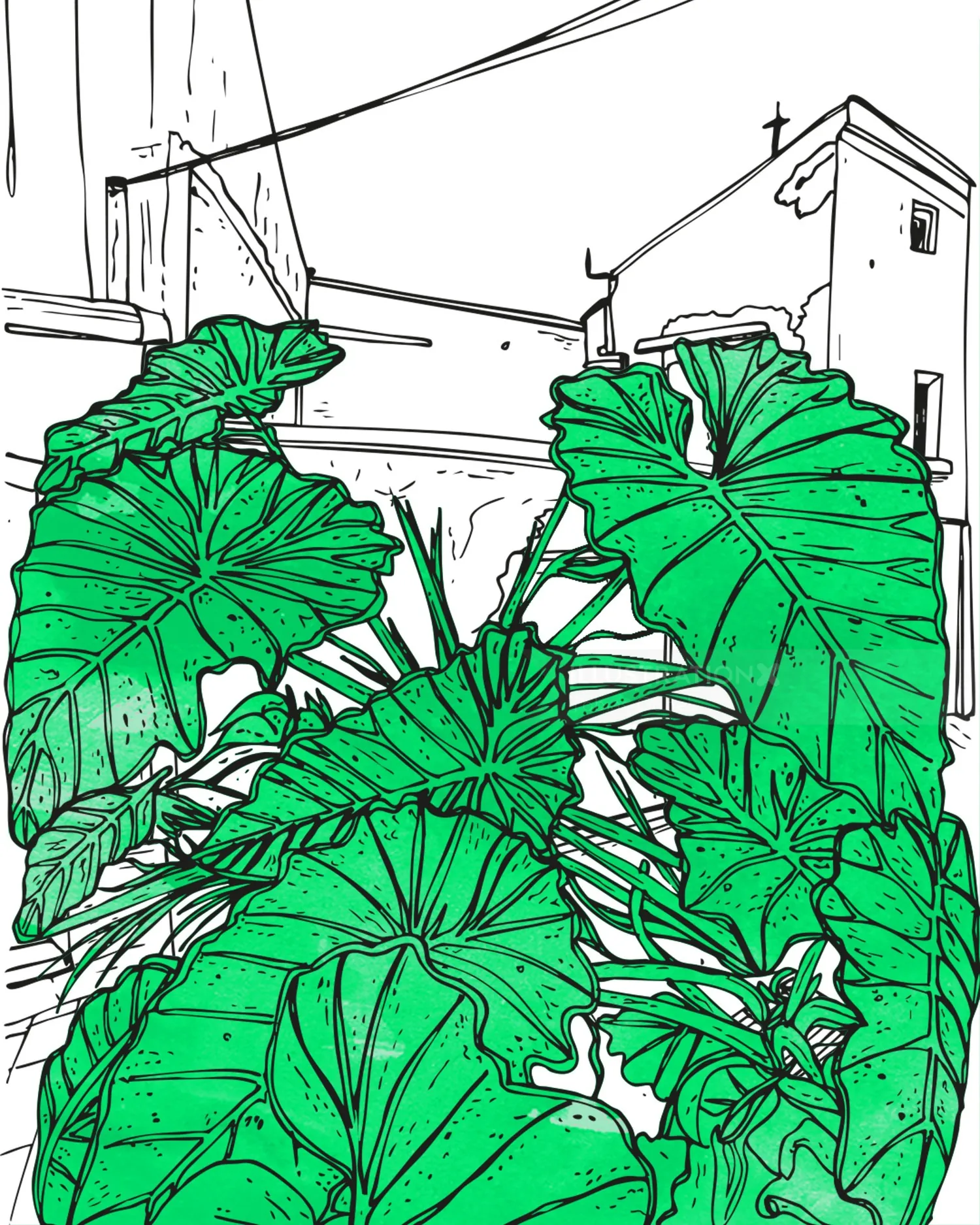 Illustration of tropical leaves in urban setting by Tobias Göbel