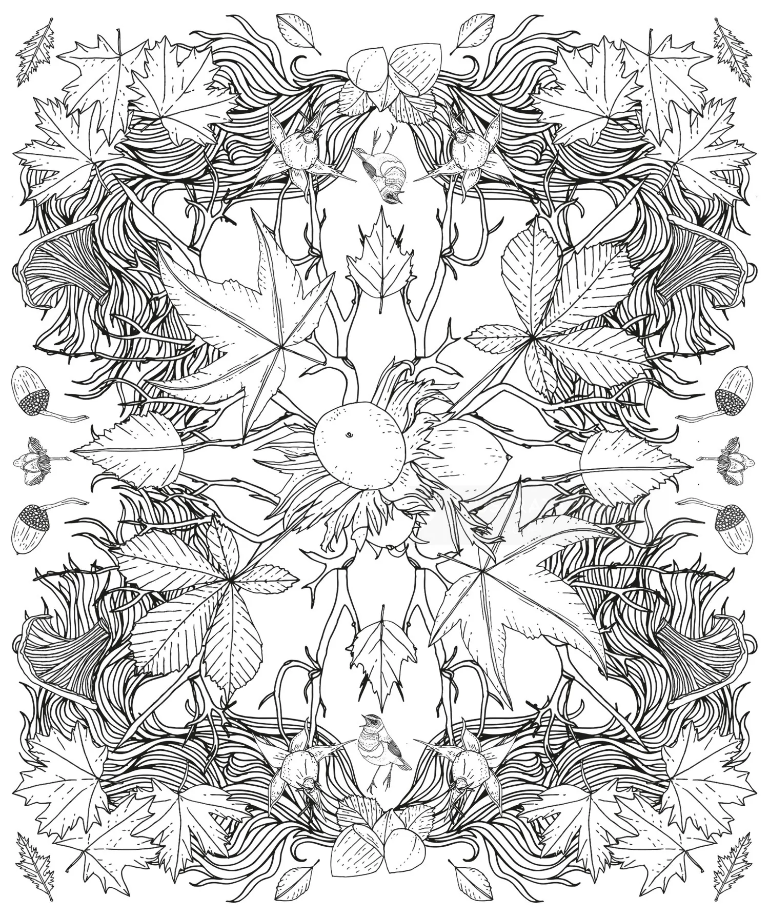 Detailed botanical line art with leaves and acorns by Tobias Göbel