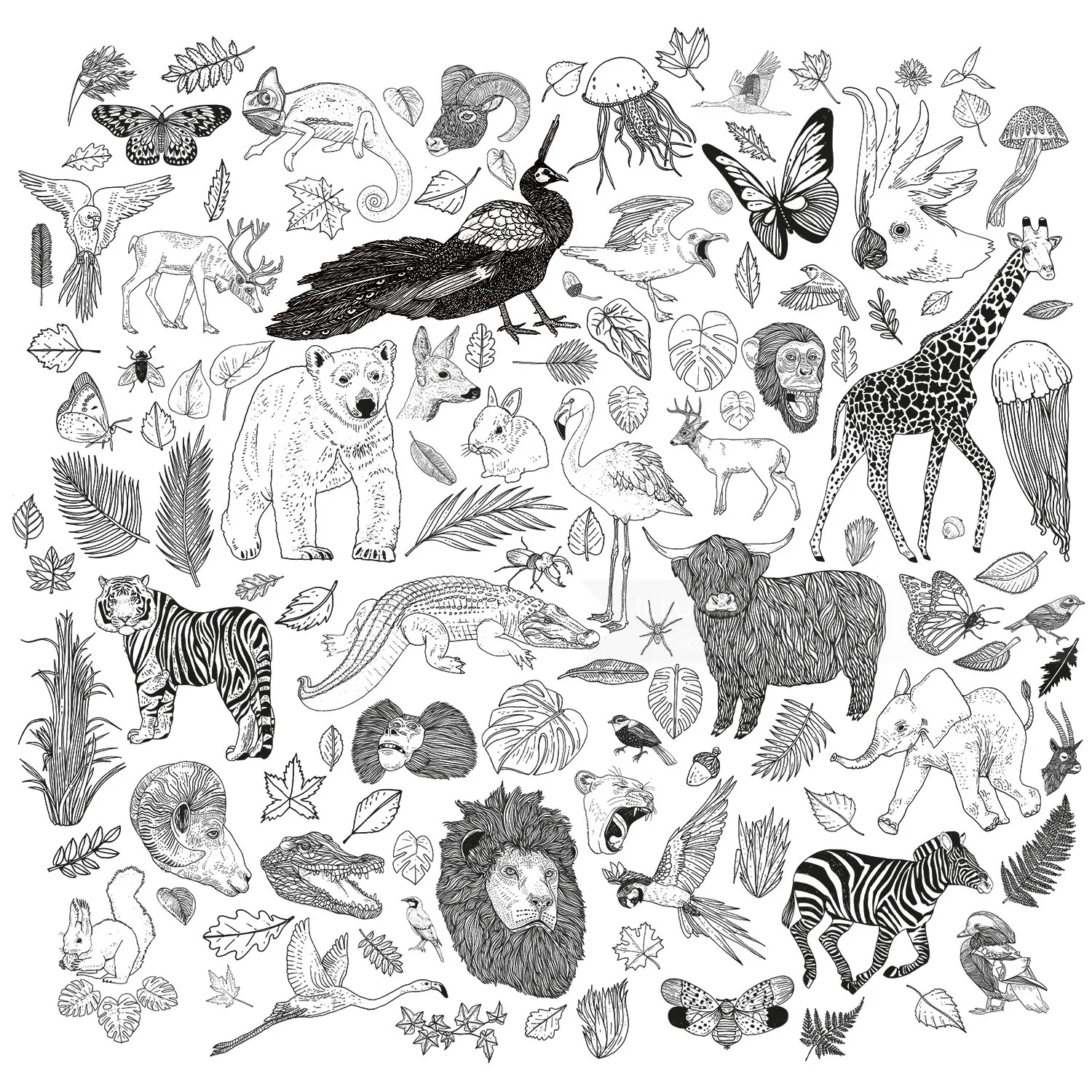 Black and white detailed animal sketches by Tobias Göbel