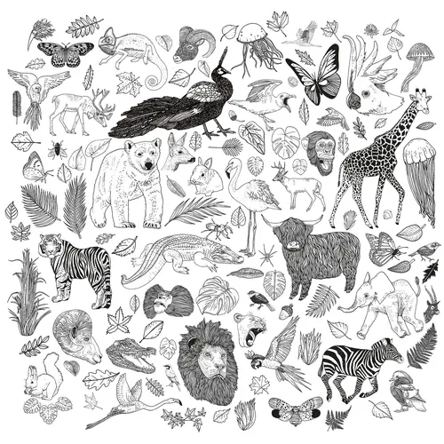 Black and white detailed animal sketches by Tobias Göbel