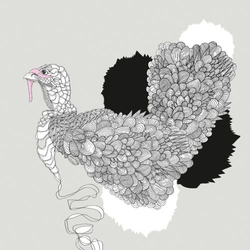 Animal  Rooster art
