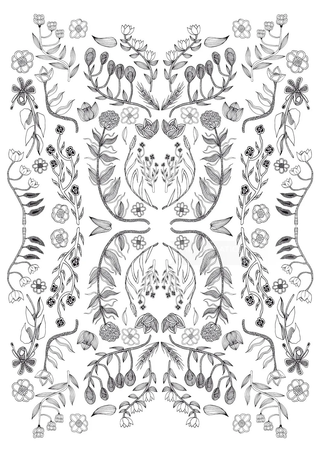 Line Illustration flowers
