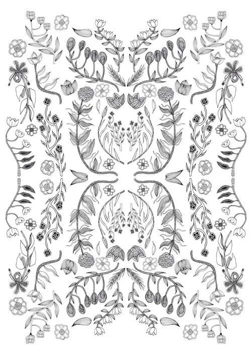 Line Illustration flowers
