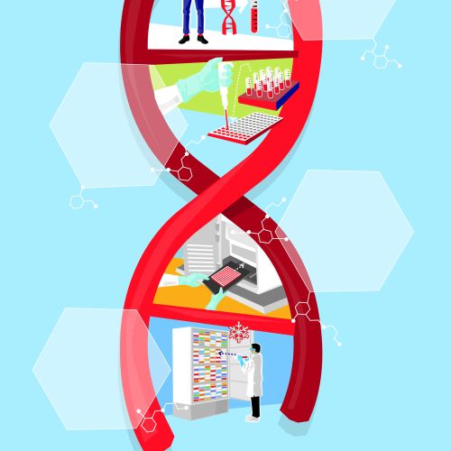 DNA double helix illustration with lab scenes inside by Tobias Wandres