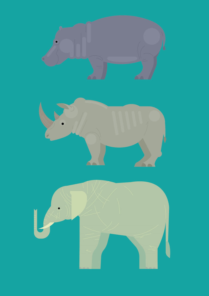 Animal vector illustration by Tobias Wandres