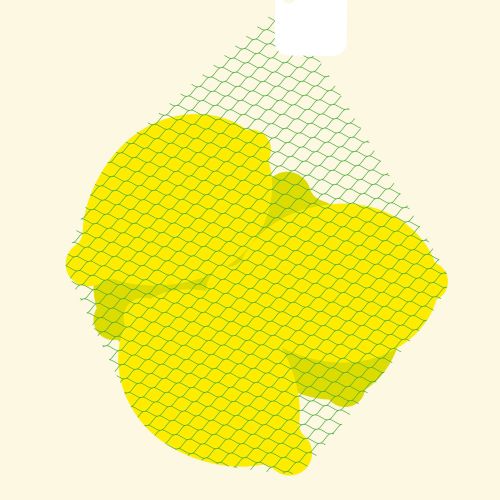 Yellow potatoes in a green mesh bag by Tobias Wandres