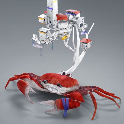 Cgi rendering illustration of crab house