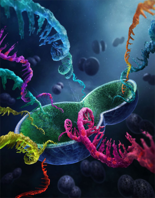 Ilustração médica de Seq de RNA de célula única
