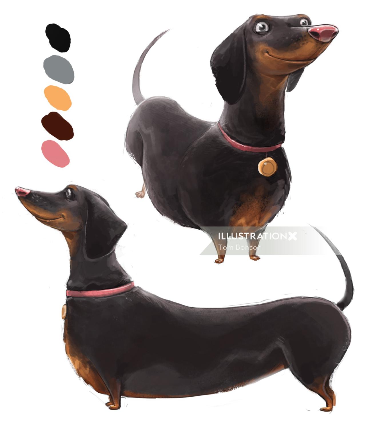 Character Illustration Of Dachshunds