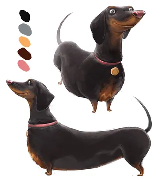 Character Illustration Of Dachshunds