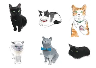 Six different cats illustrated in watercolor by Tom Bonson