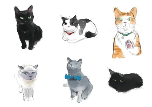 Six different cats illustrated in watercolor by Tom Bonson
