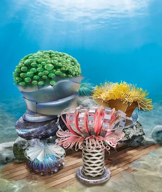 Detailed underwater coral and sea life sculpture by Tom Krieger