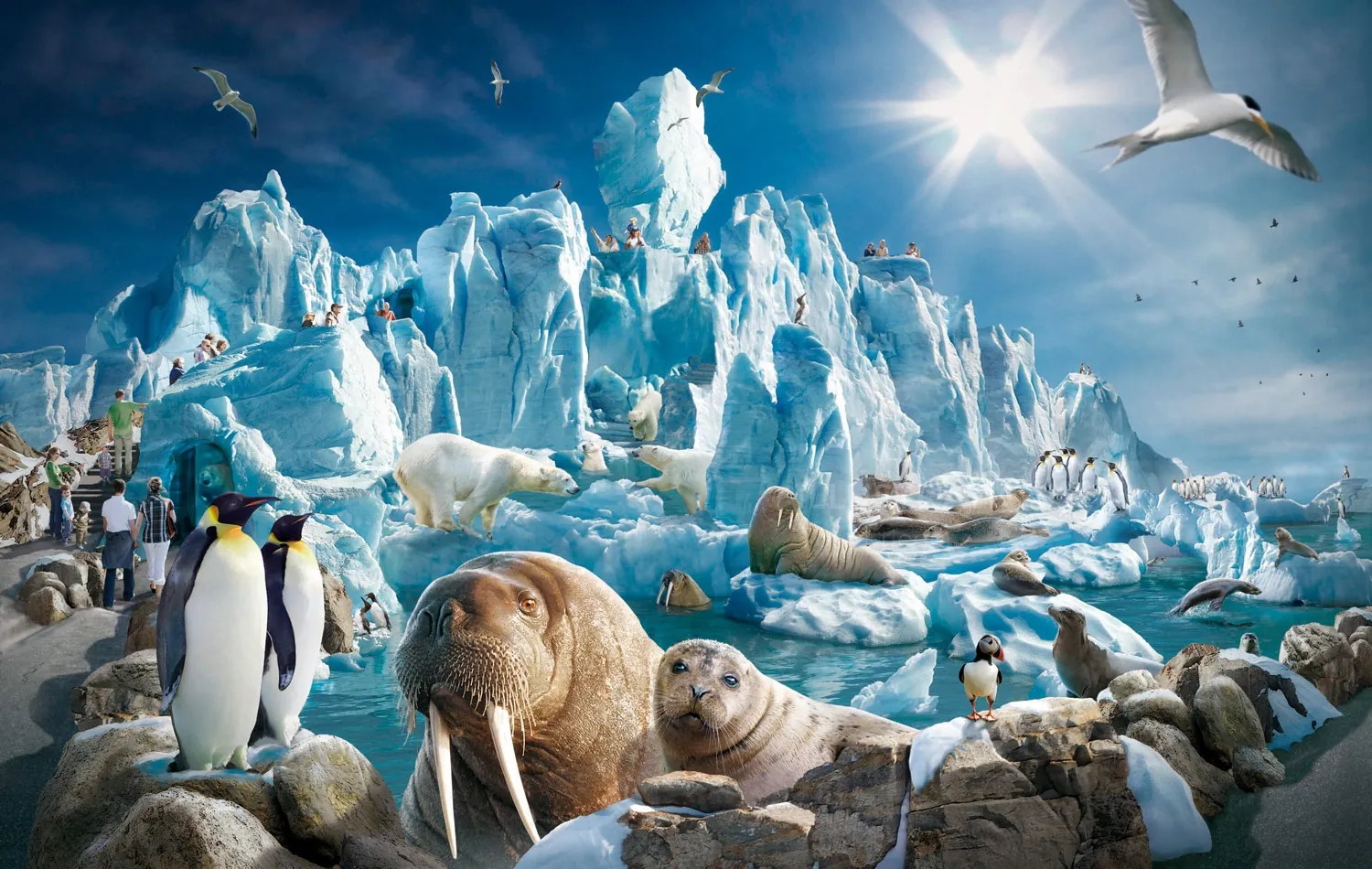Arctic animals like penguins, walruses, and seals on icy landscape by Tom Krieger