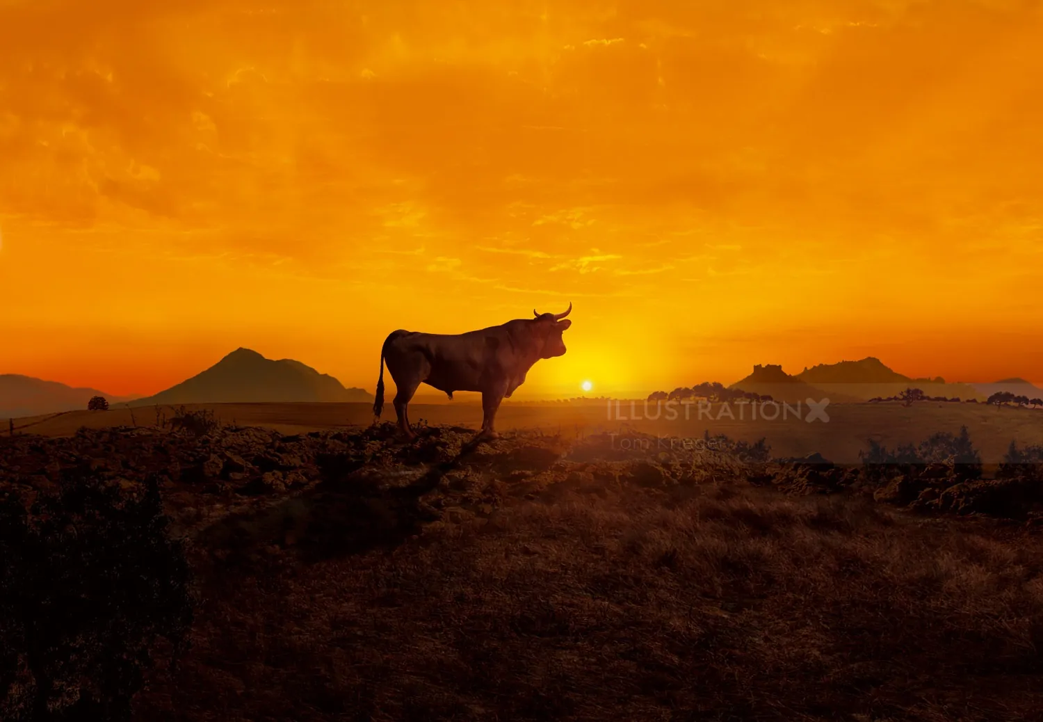 Cow silhouette at sunset with mountains in background by Tom Krieger