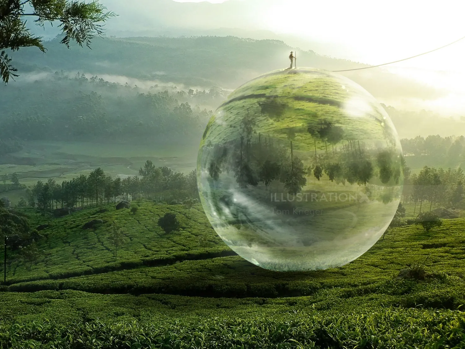 Reflective floating sphere over green landscape by Tom Krieger