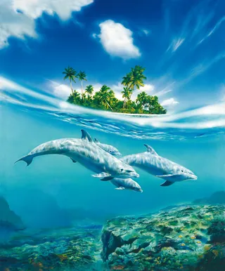Two dolphins swimming underwater near a tropical island by Tom Krieger