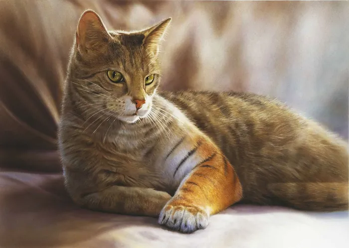 Tabby cat relaxing on couch by Tom Krieger