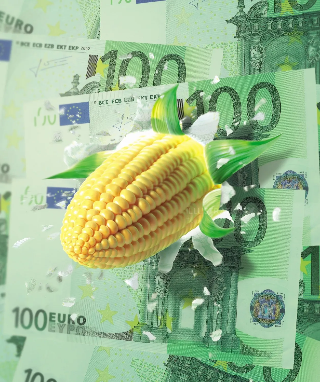 Ear of corn emerging through 100 euro bills by Tom Ungemach