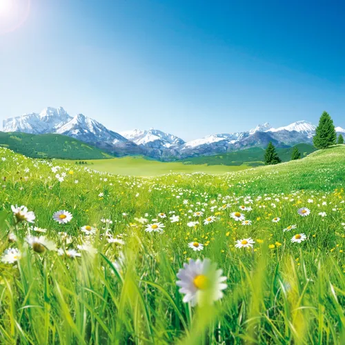 Photorealistic illustration of nature 